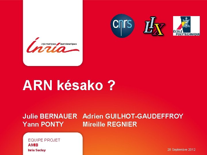 ARN késako ? Julie BERNAUER Adrien GUILHOT-GAUDEFFROY Yann PONTY Mireille REGNIER EQUIPE PROJET AMIB