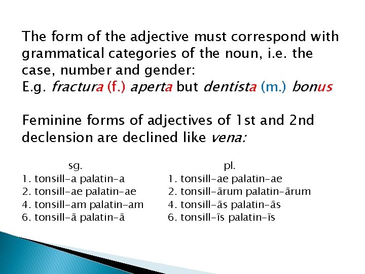 The form of the adjective must correspond with grammatical categories of the noun, i.