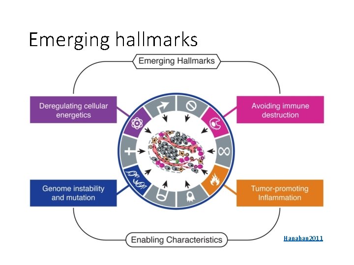 Emerging hallmarks Hanahan 2011 