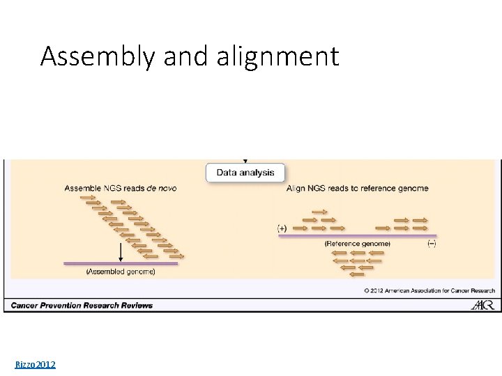 Assembly and alignment Rizzo 2012 