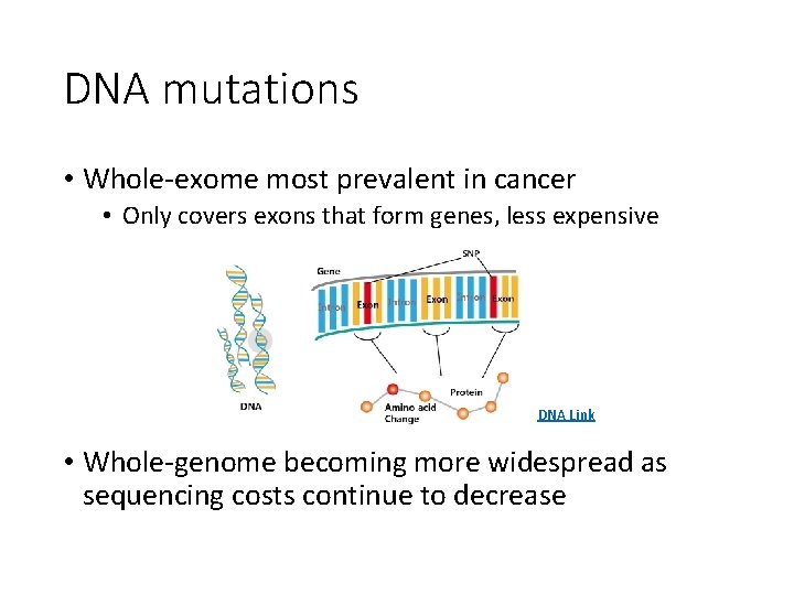 DNA mutations • Whole-exome most prevalent in cancer • Only covers exons that form