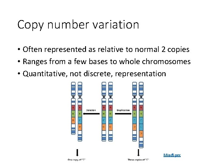 Copy number variation • Often represented as relative to normal 2 copies • Ranges