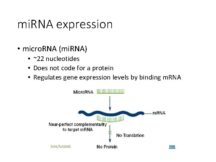 mi. RNA expression • micro. RNA (mi. RNA) • ~22 nucleotides • Does not