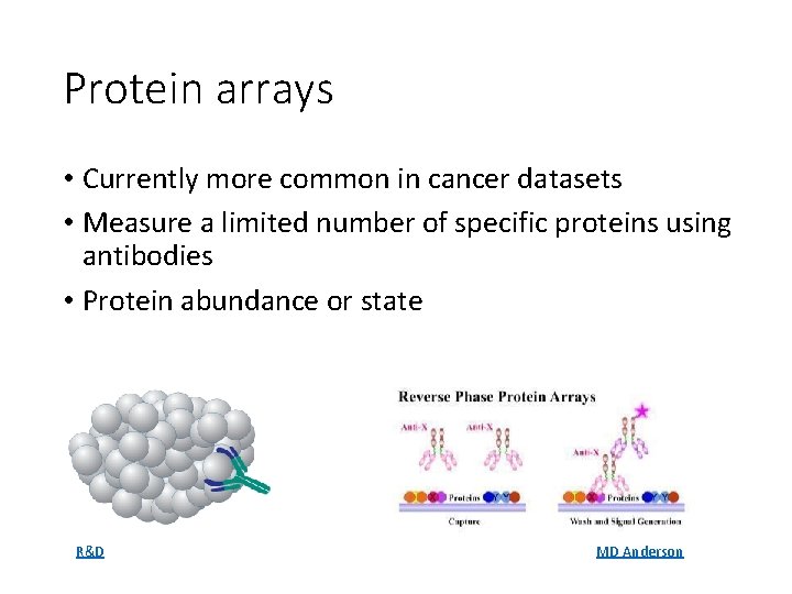 Protein arrays • Currently more common in cancer datasets • Measure a limited number