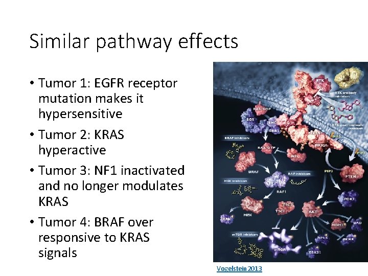 Similar pathway effects • Tumor 1: EGFR receptor mutation makes it hypersensitive • Tumor