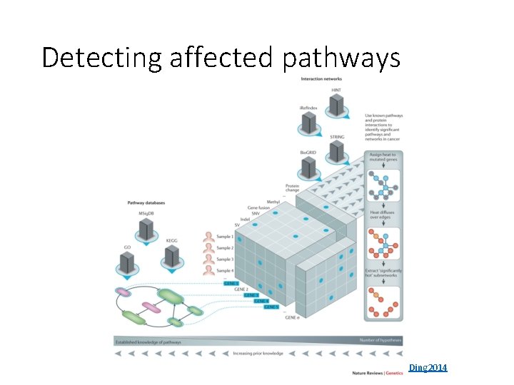 Detecting affected pathways Ding 2014 