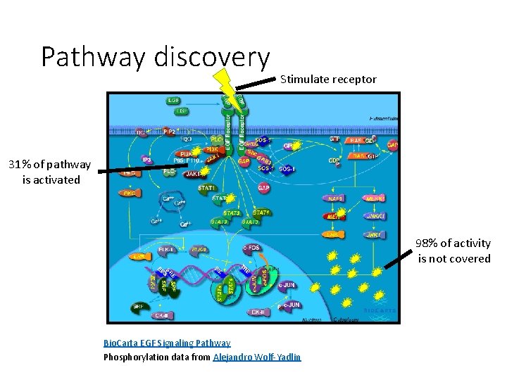 Pathway discovery Stimulate receptor 31% of pathway is activated 98% of activity is not