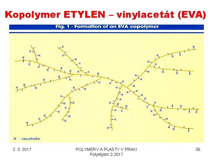 Kopolymer ETYLEN – vinylacetát (EVA) 2. 3. 2017 POLYMERY A PLASTY V PRAXI Polyetylen Kopolymer ETYLEN – vinylacetát (EVA) 2. 3. 2017 POLYMERY A PLASTY V PRAXI Polyetylen