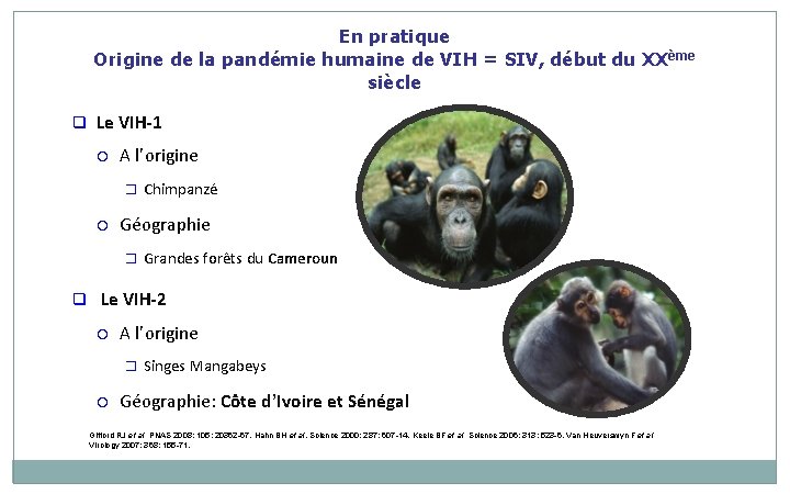En pratique Origine de la pandémie humaine de VIH = SIV, début du XX En pratique Origine de la pandémie humaine de VIH = SIV, début du XX