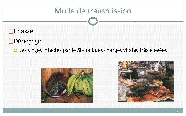 Mode de transmission �Chasse �Dépeçage Les singes infectés par le SIV ont des charges Mode de transmission �Chasse �Dépeçage Les singes infectés par le SIV ont des charges
