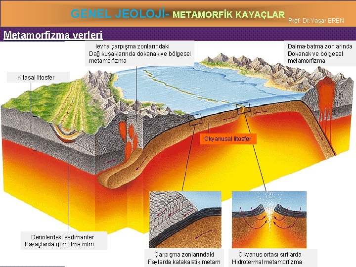 GENEL JEOLOJİ- METAMORFİK KAYAÇLAR Prof. Dr. Yaşar EREN Metamorfizma yerleri levha çarpışma zonlarındaki Dağ
