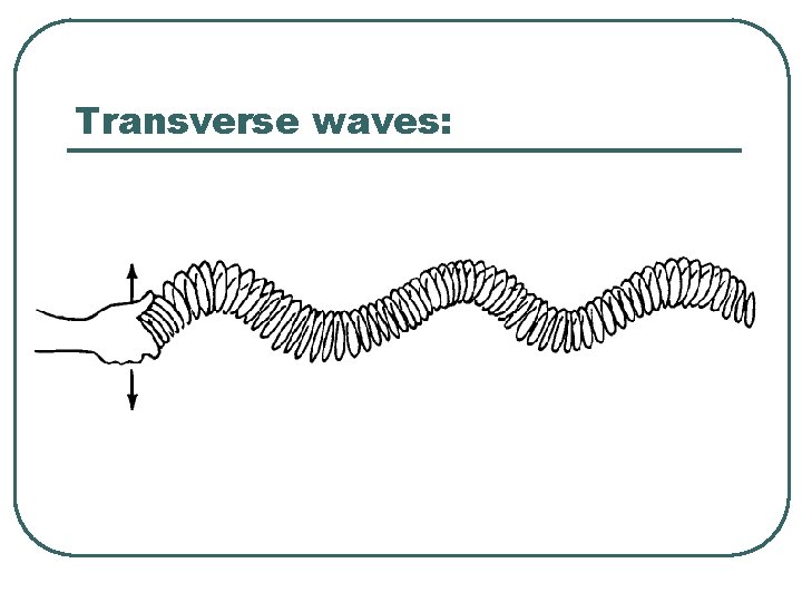 Transverse waves: 