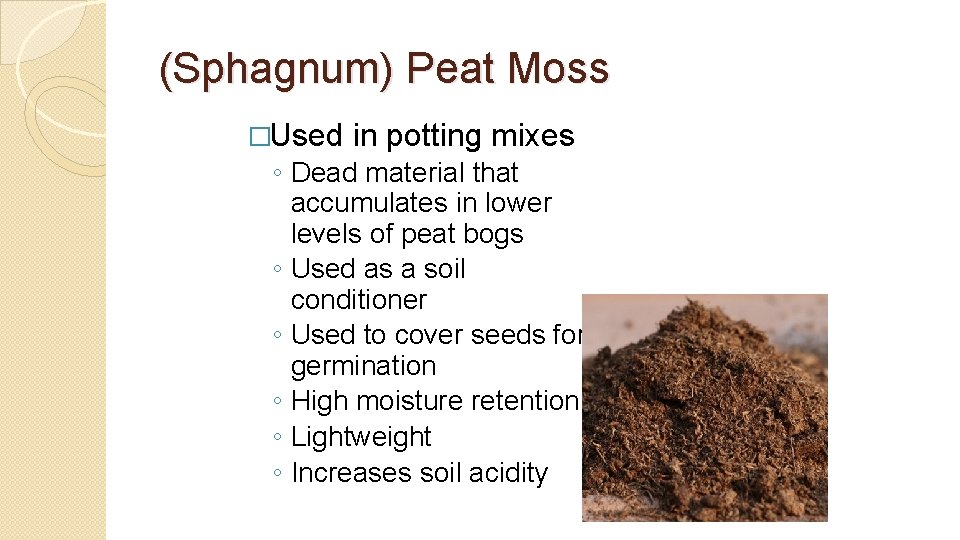 (Sphagnum) Peat Moss �Used in potting mixes ◦ Dead material that accumulates in lower