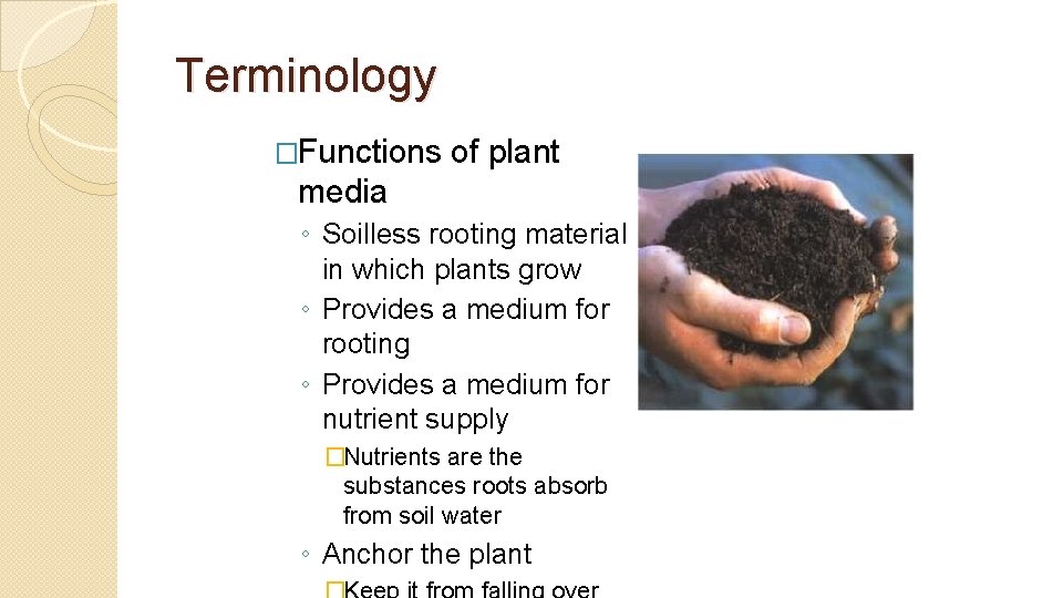 Terminology �Functions of plant media ◦ Soilless rooting material in which plants grow ◦