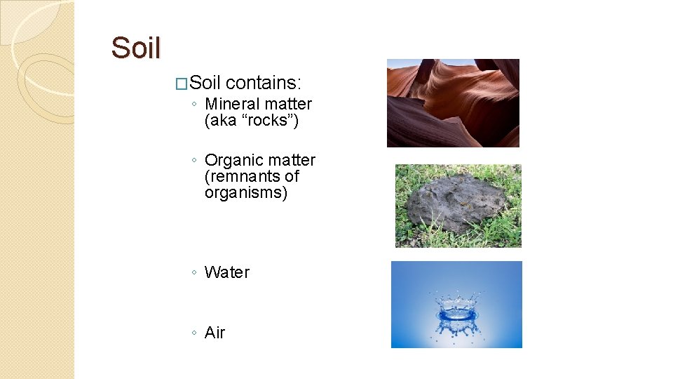 Soil �Soil contains: ◦ Mineral matter (aka “rocks”) ◦ Organic matter (remnants of organisms)