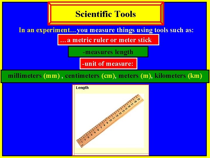 Scientific Tools In an experiment…you measure things using tools such as: …a metric ruler