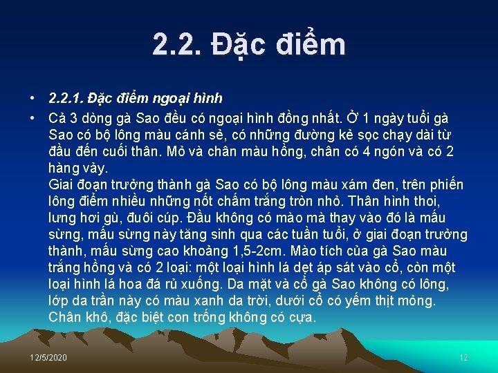 2. 2. Đặc điểm • 2. 2. 1. Đặc điểm ngoại hình • Cả