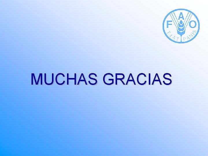 MUCHAS GRACIAS 