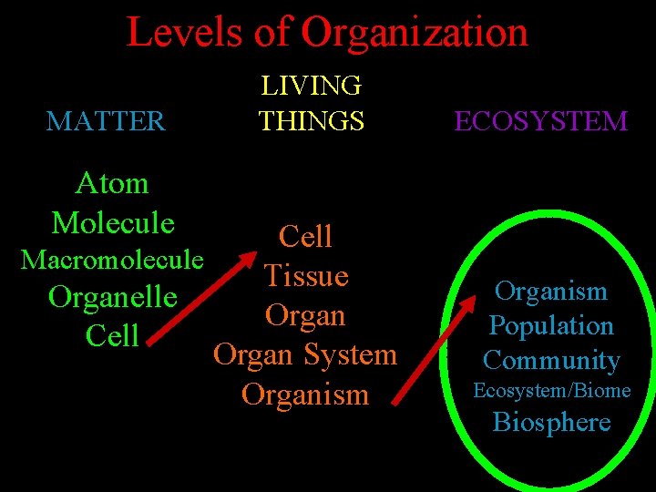 Levels of Organization MATTER LIVING THINGS ECOSYSTEM Atom Molecule Cell Macromolecule Tissue Organelle Organ