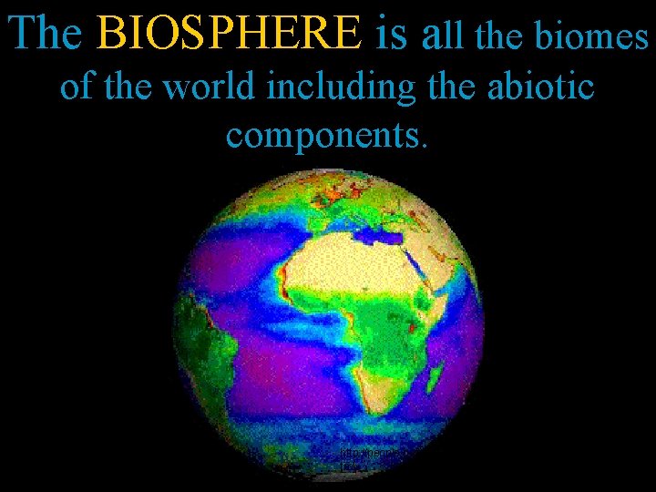 The BIOSPHERE is all the biomes of the world including the abiotic components. http: