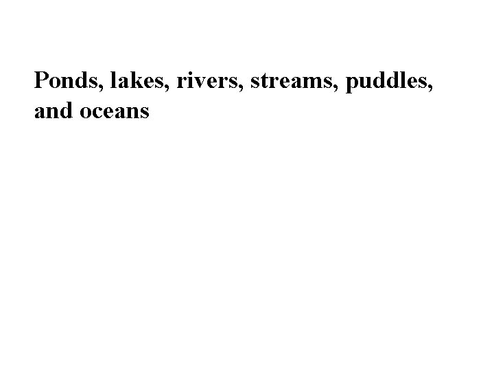 Ponds, lakes, rivers, streams, puddles, and oceans 