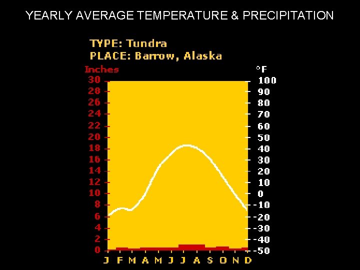 YEARLY AVERAGE TEMPERATURE & PRECIPITATION 