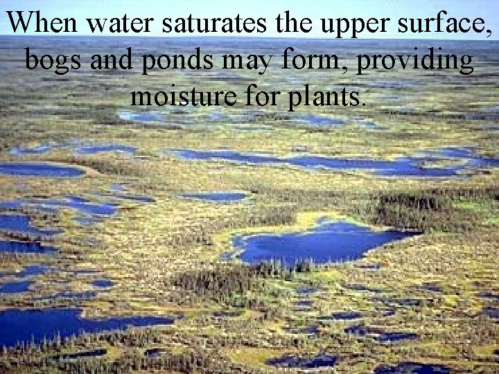 When water saturates the upper surface, bogs and ponds may form, providing moisture for