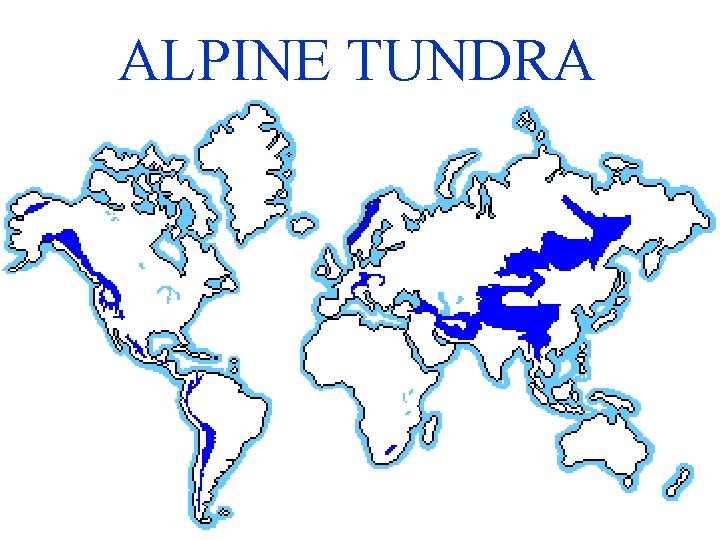 ALPINE TUNDRA 