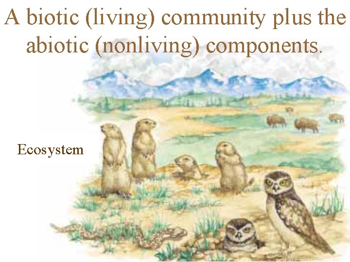 A biotic (living) community plus the abiotic (nonliving) components. Ecosystem 