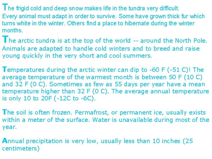 The frigid cold and deep snow makes life in the tundra very difficult. Every