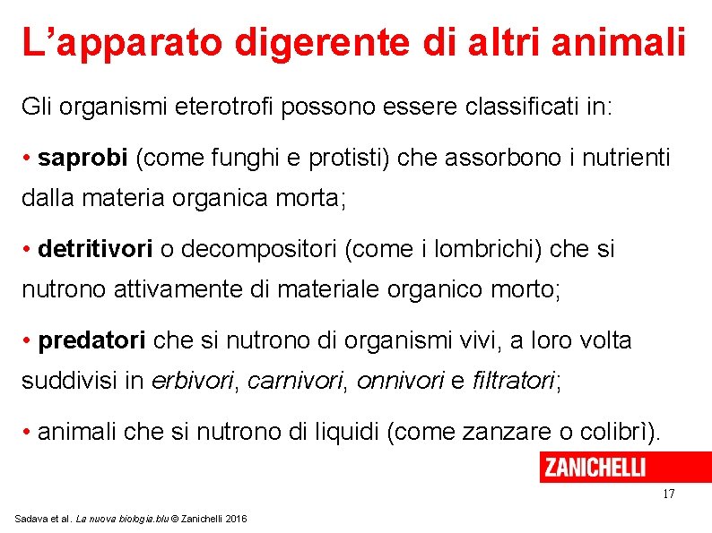 L’apparato digerente di altri animali Gli organismi eterotrofi possono essere classificati in: • saprobi
