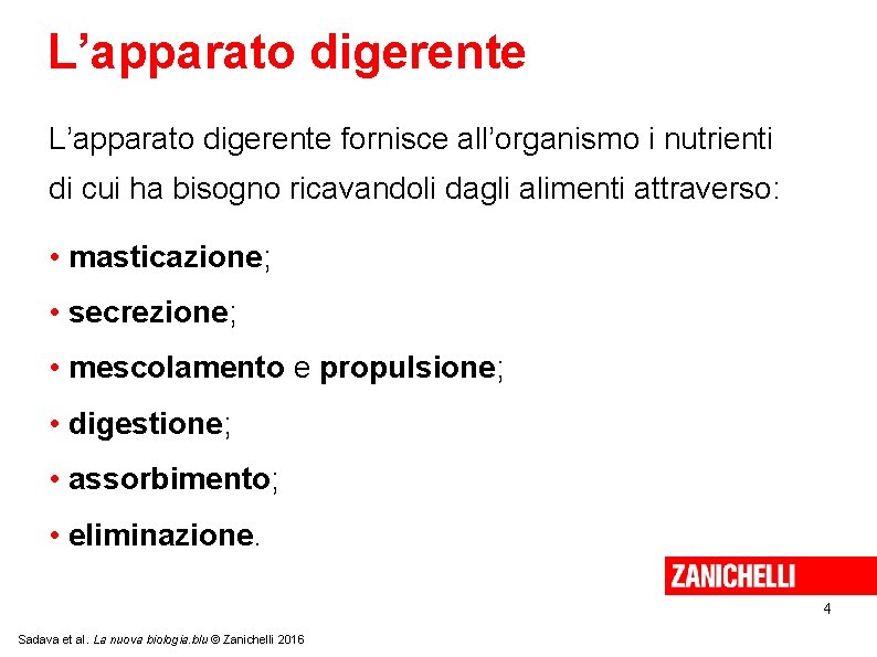 L’apparato digerente fornisce all’organismo i nutrienti di cui ha bisogno ricavandoli dagli alimenti attraverso: