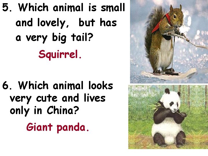 5. Which animal is small and lovely, but has a very big tail? Squirrel.