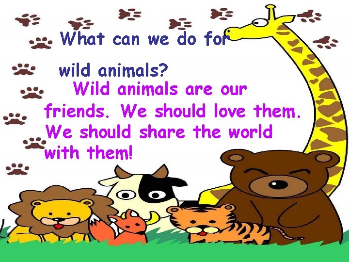 What can we do for wild animals? Wild animals are our friends. We should