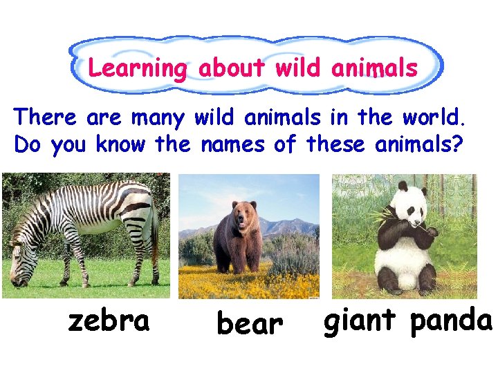 Learning about wild animals There are many wild animals in the world. Do you