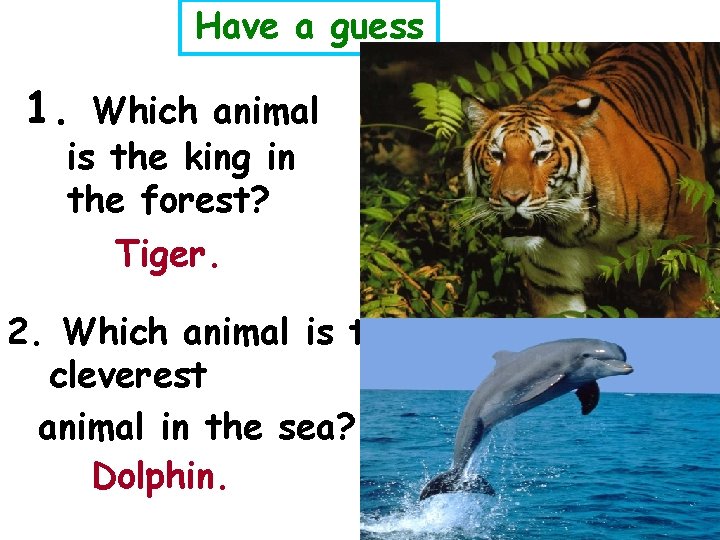 Have a guess 1. Which animal is the king in the forest? Tiger. 2.