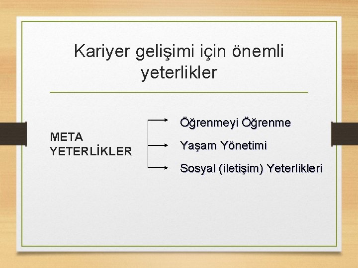 Kariyer gelişimi için önemli yeterlikler Öğrenmeyi Öğrenme META YETERLİKLER Yaşam Yönetimi Sosyal (iletişim) Yeterlikleri