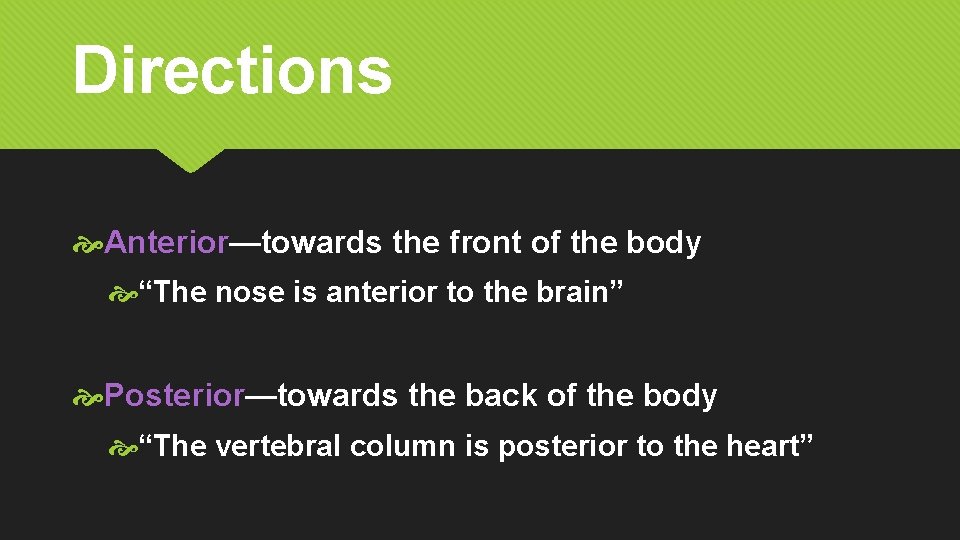 Directions Anterior—towards the front of the body “The nose is anterior to the brain”