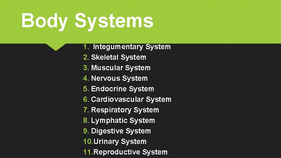 Body Systems 1. Integumentary System 2. Skeletal System 3. Muscular System 4. Nervous System