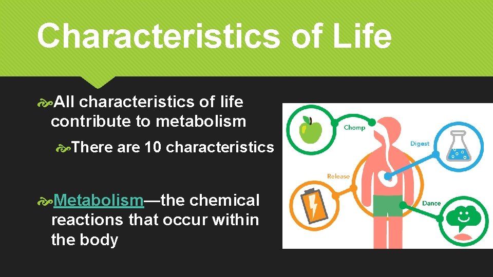 Characteristics of Life All characteristics of life contribute to metabolism There are 10 characteristics