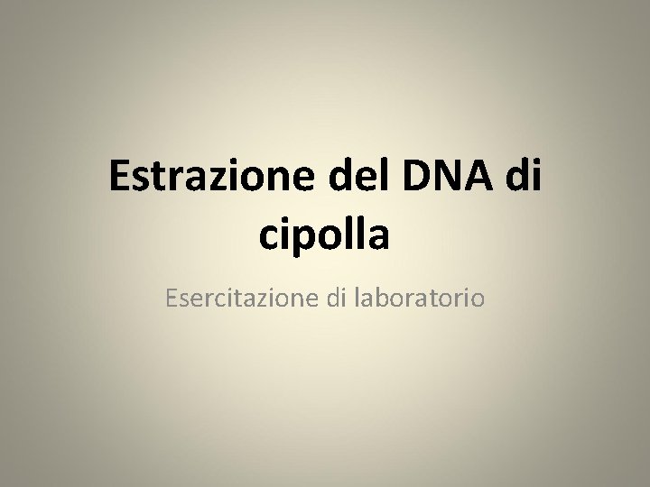 Estrazione del DNA di cipolla Esercitazione di laboratorio 