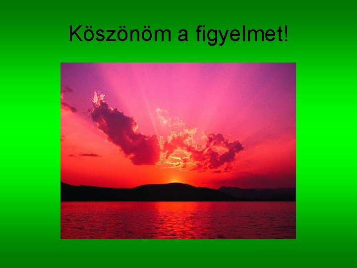 Köszönöm a figyelmet! 