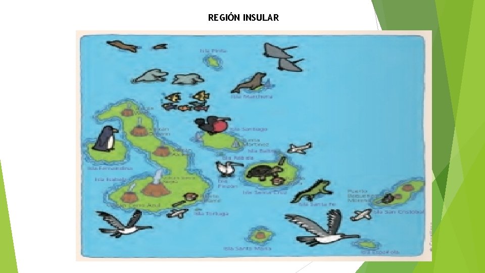 REGIÓN INSULAR 