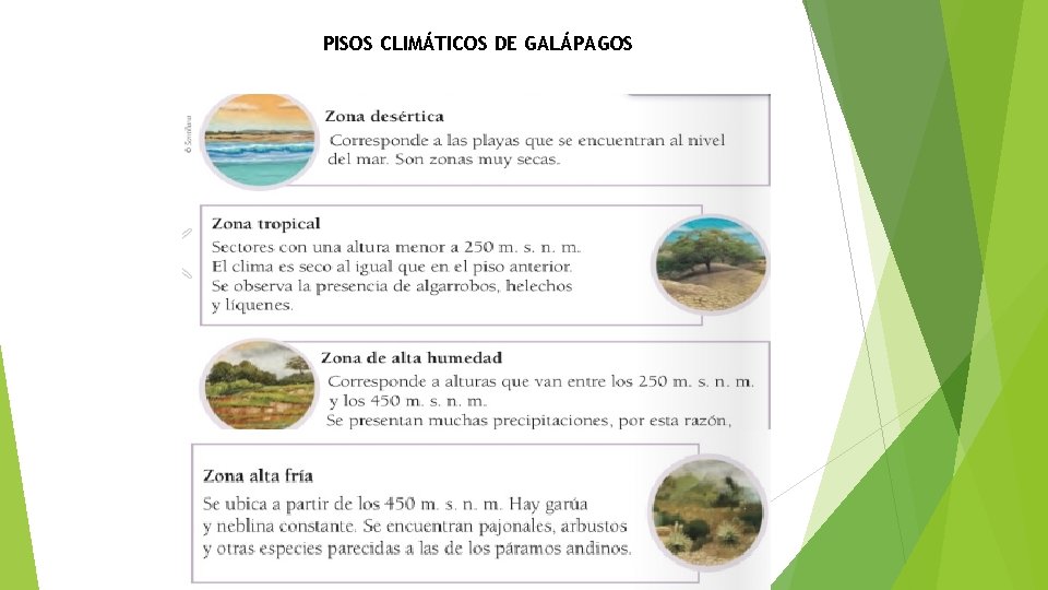 PISOS CLIMÁTICOS DE GALÁPAGOS 