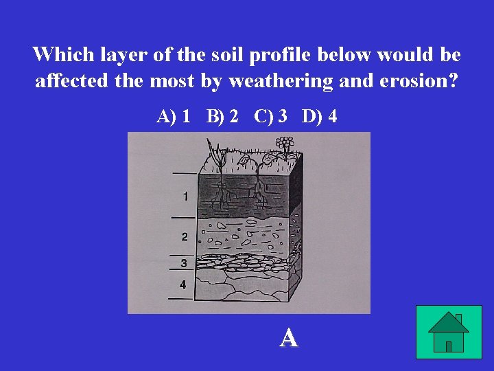 Which layer of the soil profile below would be affected the most by weathering