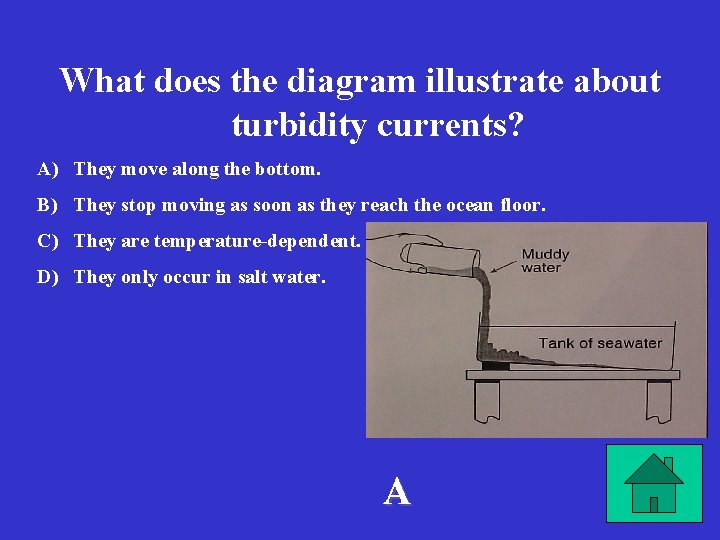 What does the diagram illustrate about turbidity currents? A) They move along the bottom.