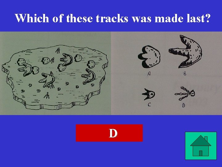 Which of these tracks was made last? D 