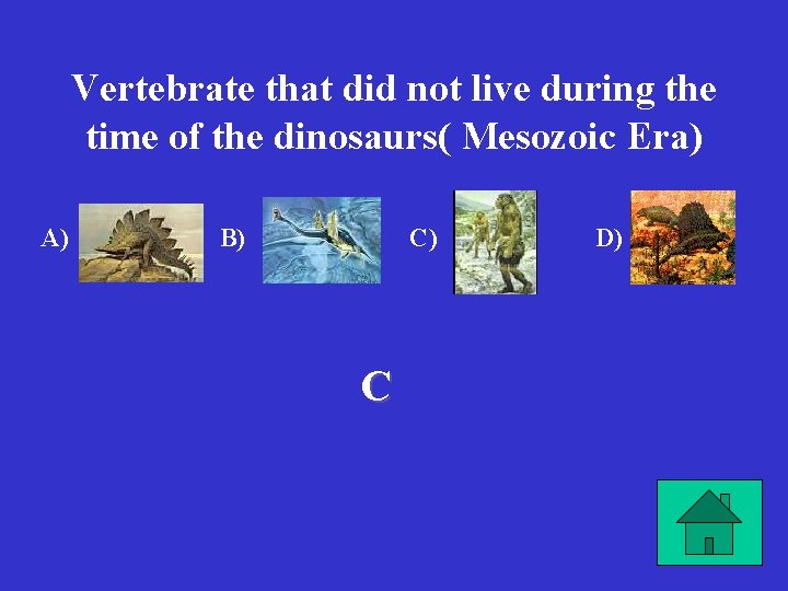 Vertebrate that did not live during the time of the dinosaurs( Mesozoic Era) A)