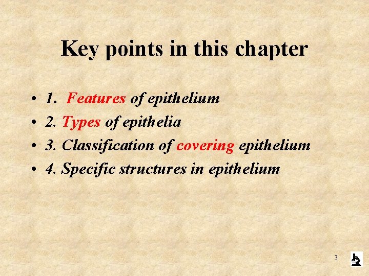 Key points in this chapter • • 1. Features of epithelium 2. Types of