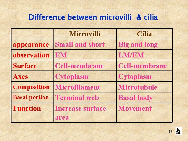  Difference between microvilli & cilia appearance observation Surface Axes Composition Basal portion Function